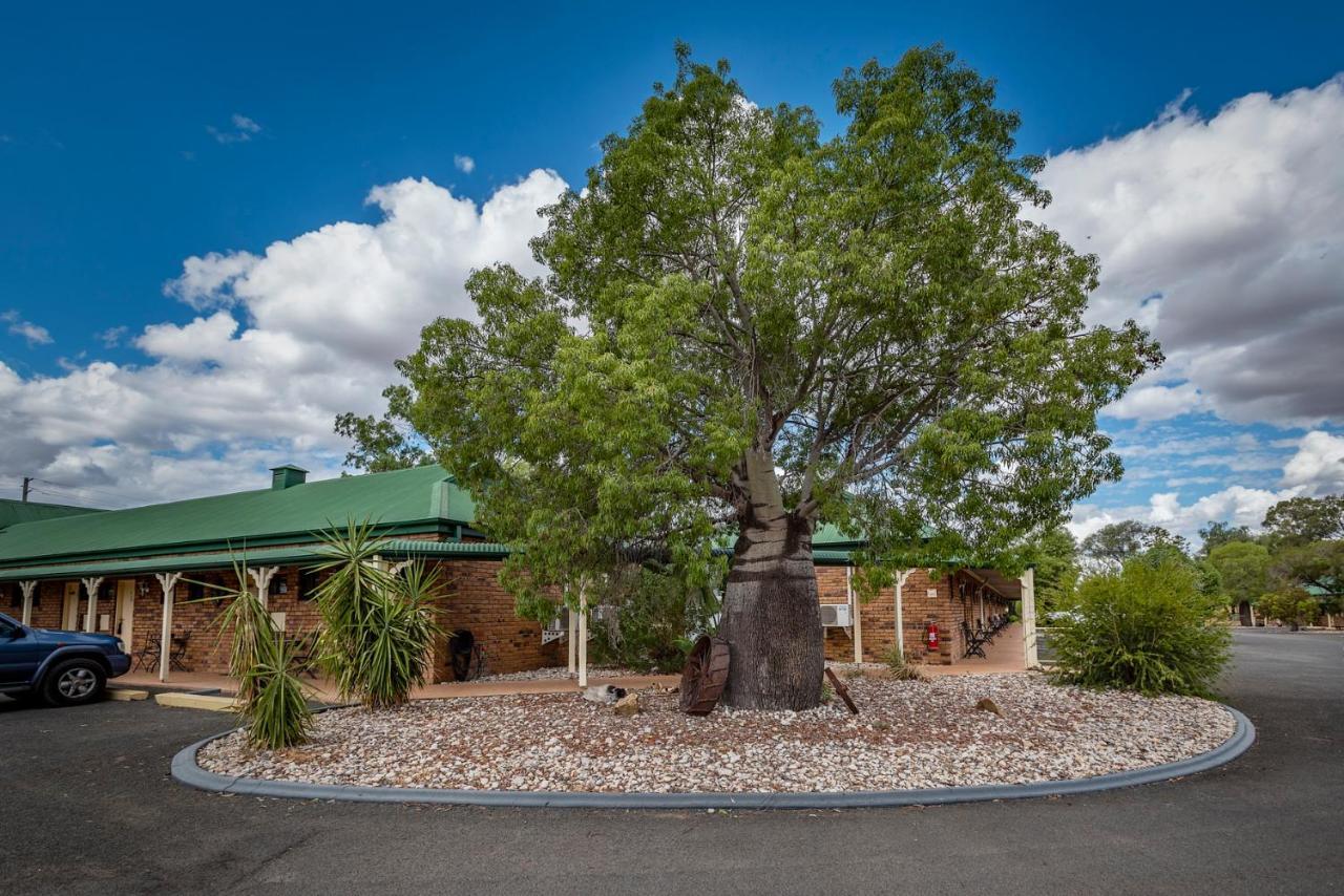 روما Overlander Homestead Motel المظهر الخارجي الصورة